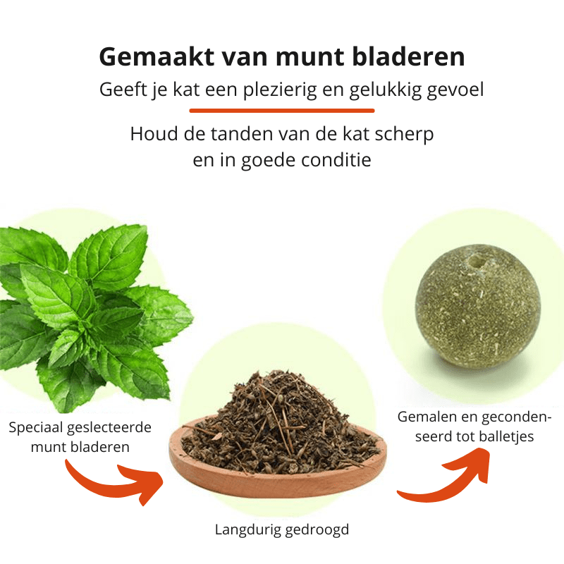 Purrfect katt leksak med kattmynta – väggmonterbar roterande leksak med naturlig mynta för tandhälsa och lekglädje