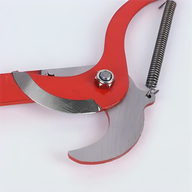 Carvallo - Safe cutting of high branches from the ground!