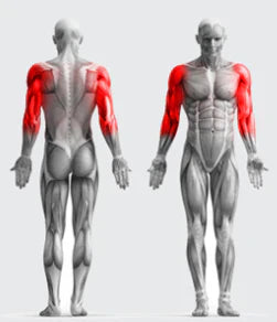 Royaleva Sport Elastics Set för Hemträning