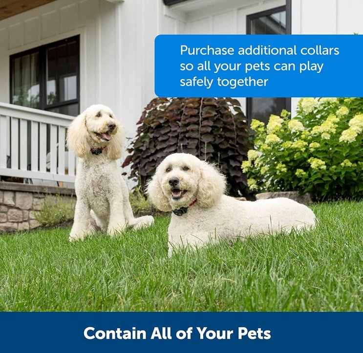 Hundstängsel trådlöst vattentåligt träningshalsbandsystem