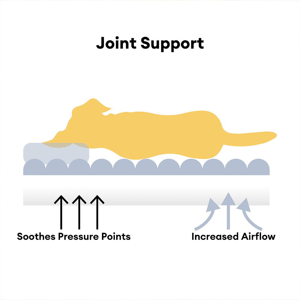 DOZER CUSH – Ortopedisk hundkudde för ledstöd och djup vila