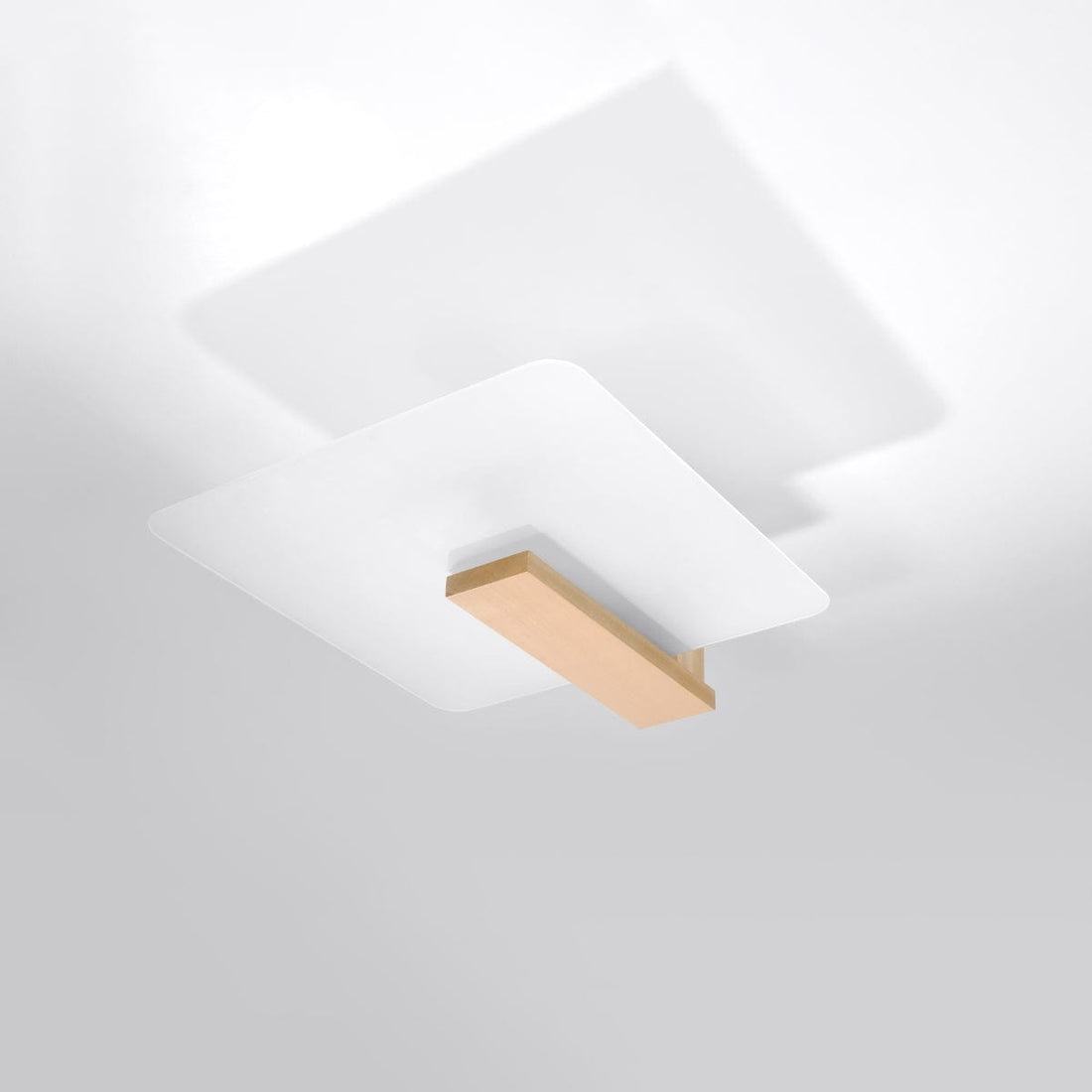 LAPPO Naturlig Trä Taklampa - Skandinavisk Design - Matt Glas Skärm - E27 Lampa Kompatibel - Lätt att Rengöra - Varm Ambient Belysning