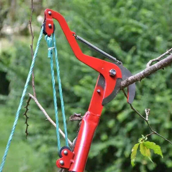 Carvallo – Risk-free cutting of high branches from the ground