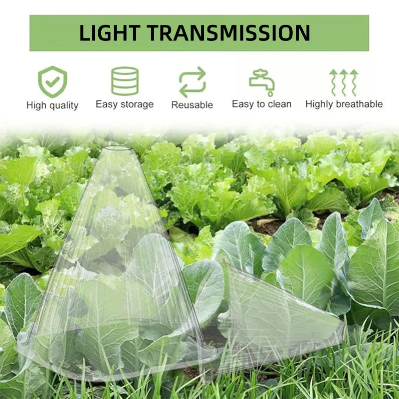 Carvallo | GrowGuard – Skydd & Värme för friska växter