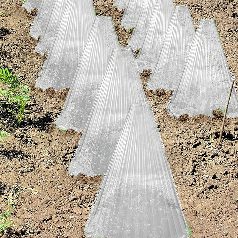 Carvallo | GrowGuard – Skydd & Värme för friska växter