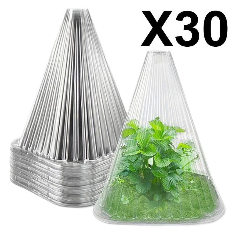 Carvallo | GrowGuard – Skydd & Värme för friska växter