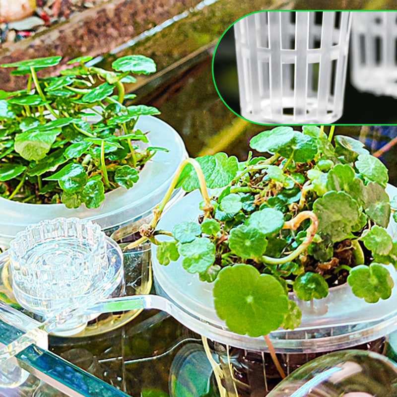 Carvallo | HydroScope – Rotövervakning gjort enkelt