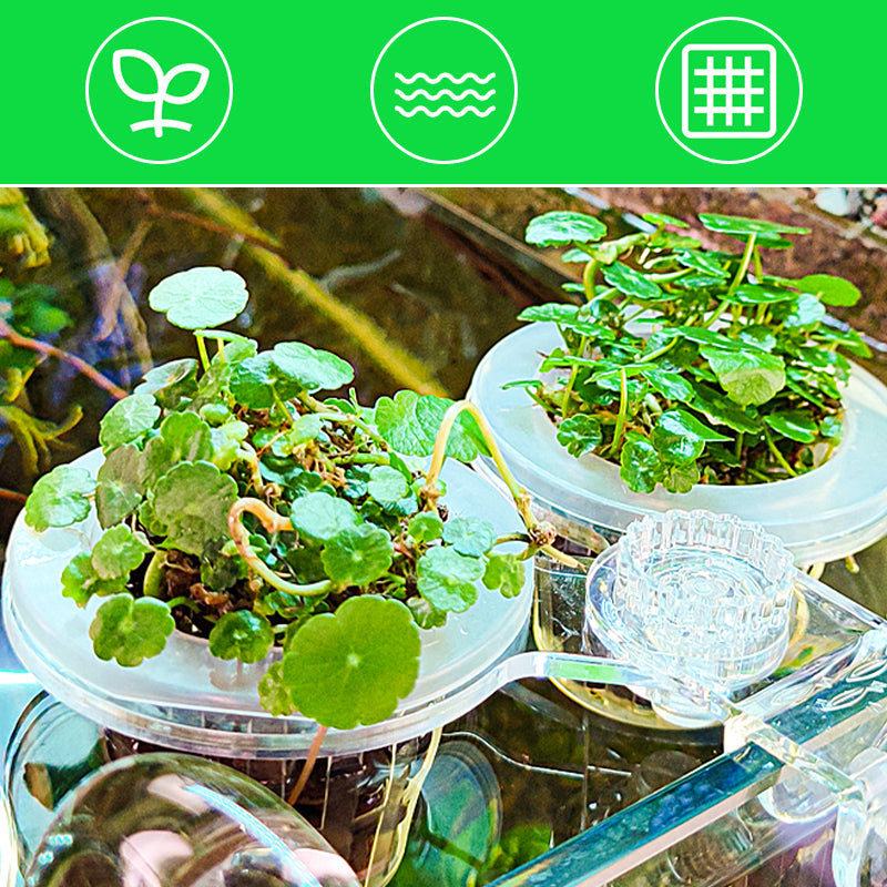 Carvallo | HydroScope – Rotövervakning gjort enkelt