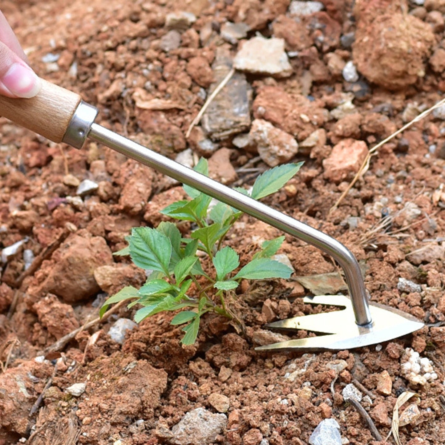 Royallure Premium Rostfritt Stål Ogräsklippare och Gräsklippartool