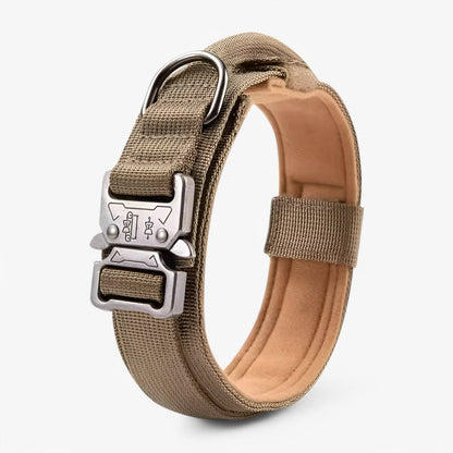 PROTECTAK9 – Justerbart hundhalsbandsset för träning och äventyr