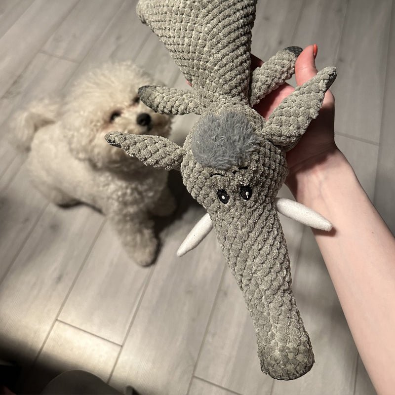 TOUGHPUP - Oövervinnerligt hundeleksak för oändligt nöje