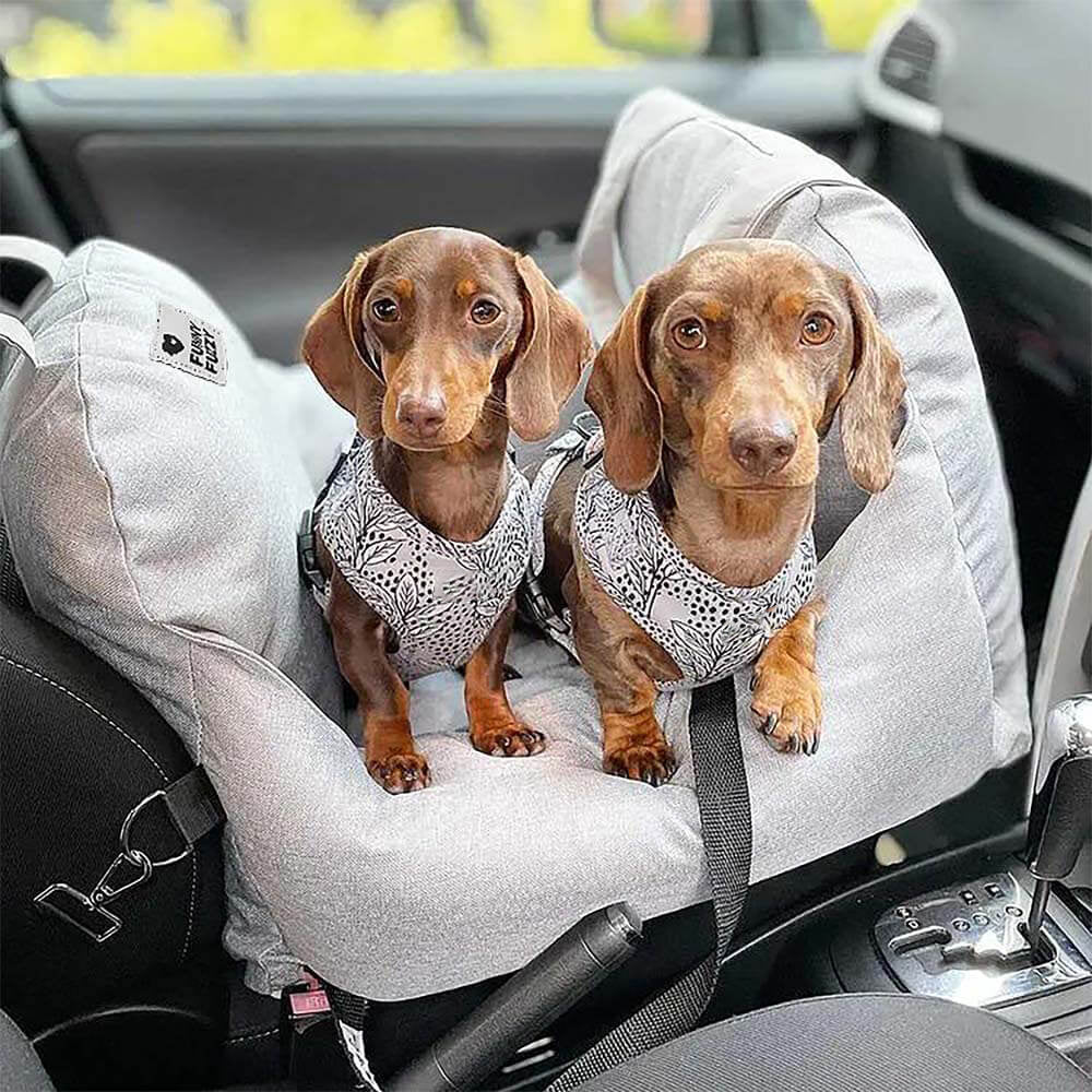 Travelpup - Hundsäng för säkra och bekväma bilresor