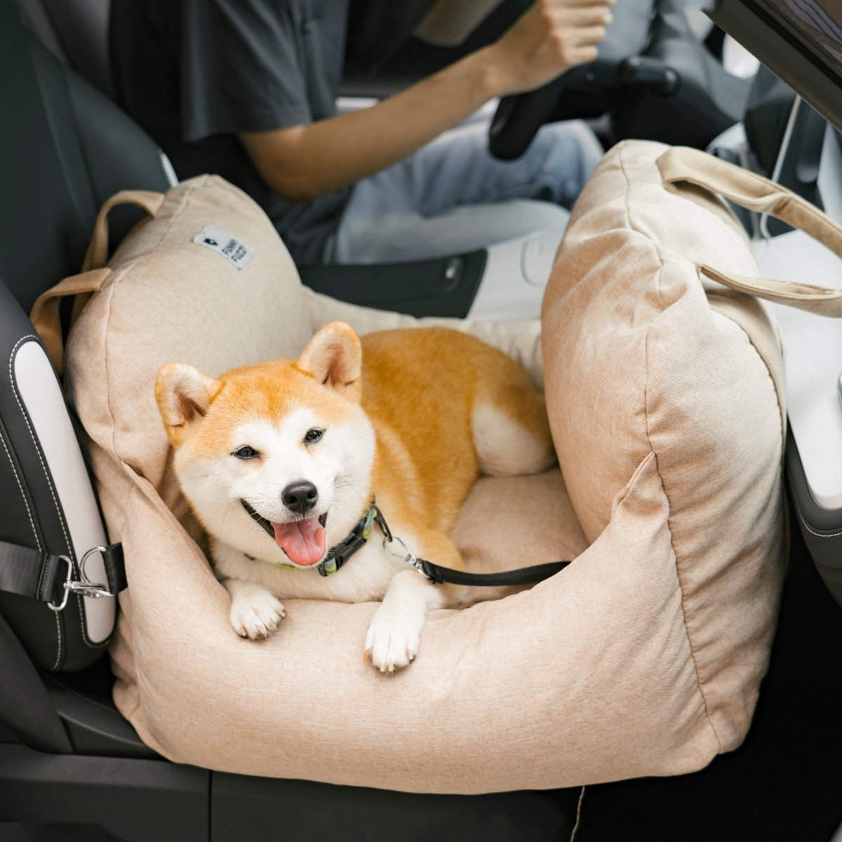 Travelpup - Hundsäng för säkra och bekväma bilresor