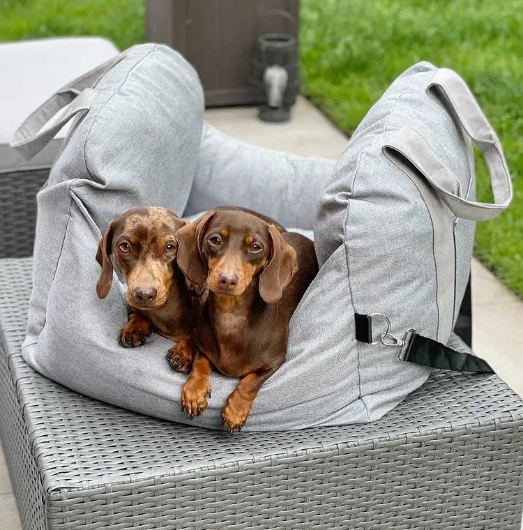 Travelpup - Hundsäng för säkra och bekväma bilresor
