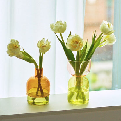 Tvådelat Mini Bud Vase Terrarium Set - Glas Modern Design