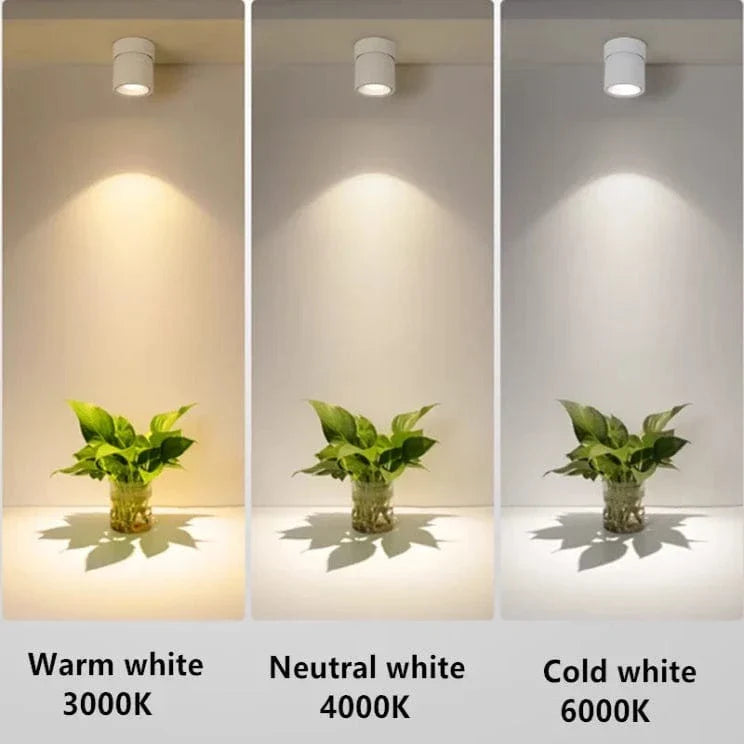 LED Taklampor Macaron