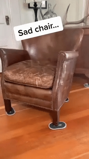 LuxRoyale Möbel Salva och Pensel för Läder och Trä
