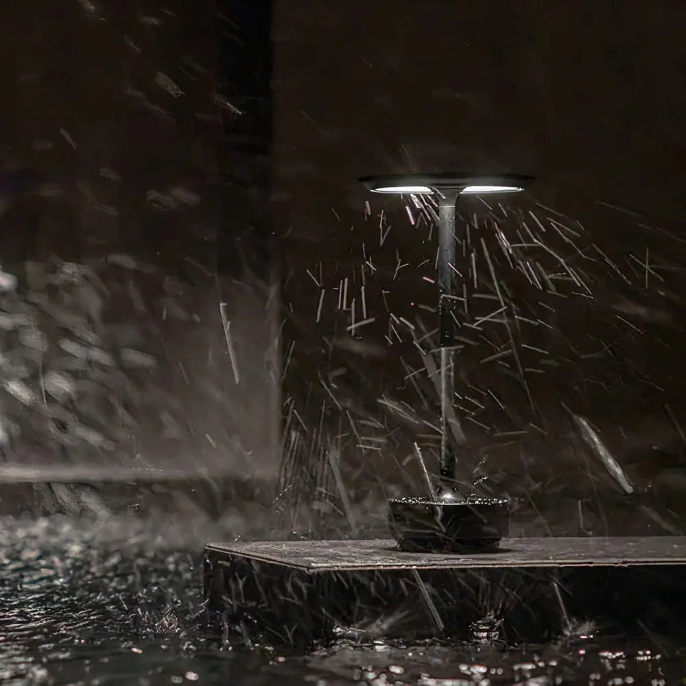 Carvallo - Designer Bordslampa Thomas av LumenArt