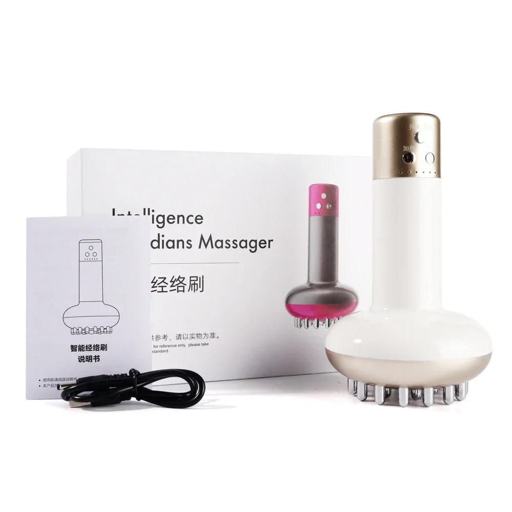 Mikroströmsterapi Massager: EMS, Värme, Guasha, Detox & Slimning